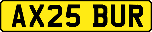 AX25BUR