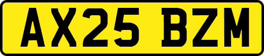 AX25BZM