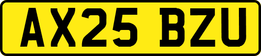 AX25BZU