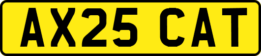 AX25CAT