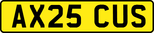 AX25CUS