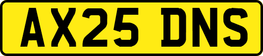 AX25DNS