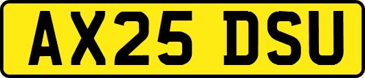 AX25DSU
