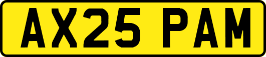 AX25PAM