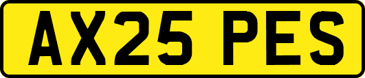 AX25PES