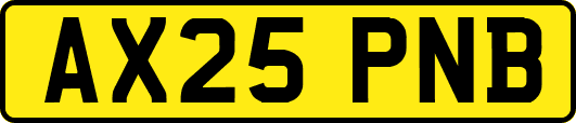 AX25PNB