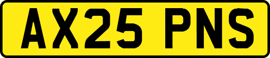 AX25PNS