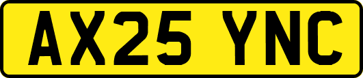 AX25YNC