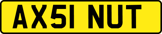 AX51NUT