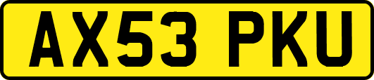 AX53PKU