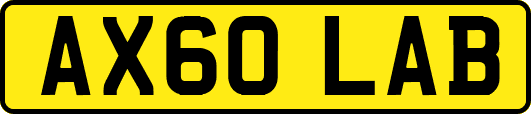 AX60LAB