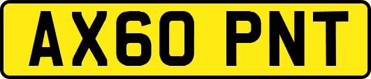 AX60PNT