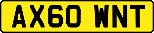 AX60WNT