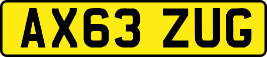 AX63ZUG
