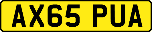 AX65PUA