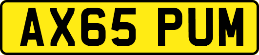 AX65PUM