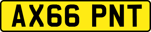 AX66PNT