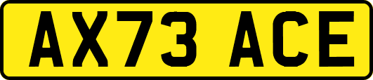 AX73ACE