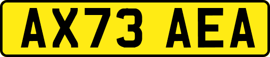 AX73AEA