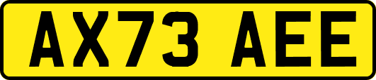 AX73AEE