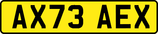 AX73AEX
