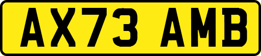 AX73AMB