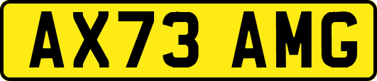 AX73AMG