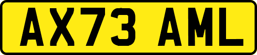 AX73AML