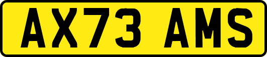 AX73AMS