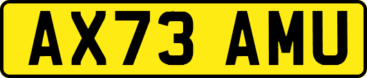 AX73AMU