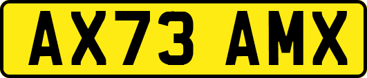 AX73AMX