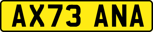 AX73ANA