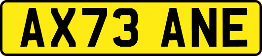 AX73ANE
