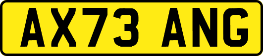 AX73ANG