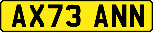 AX73ANN
