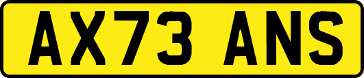 AX73ANS