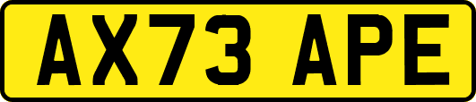 AX73APE