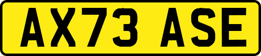 AX73ASE