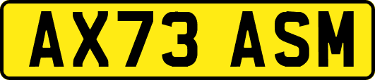 AX73ASM