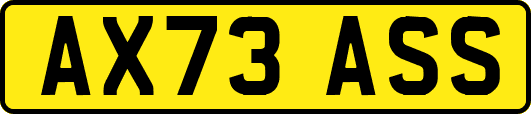 AX73ASS