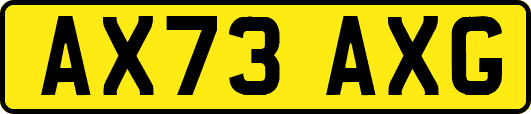 AX73AXG