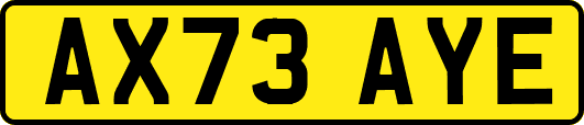 AX73AYE