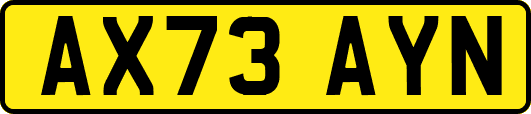 AX73AYN