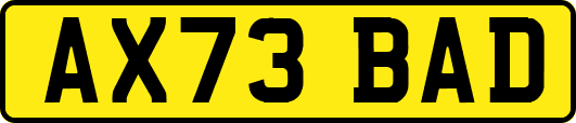AX73BAD