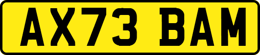 AX73BAM