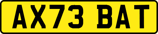 AX73BAT