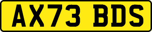 AX73BDS