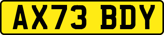 AX73BDY