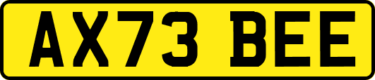AX73BEE