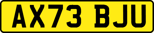 AX73BJU